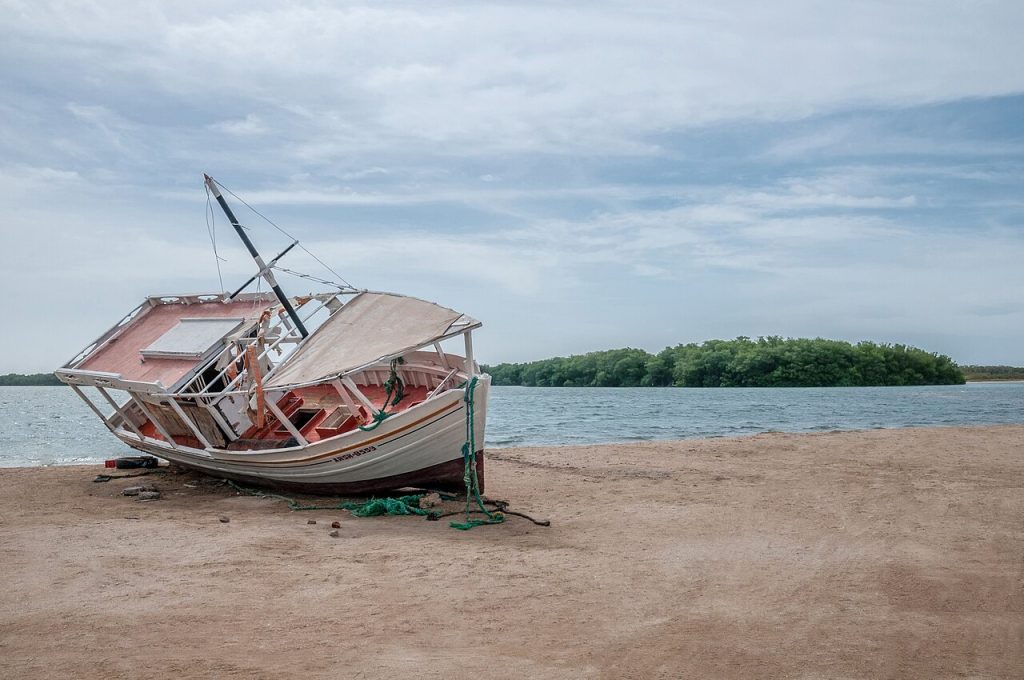 Foça Merkez Diyetisyen ve Beslenme Uzmanı | Eski Foça Online Diyetisyen, Zayıflama, Çocuk Diyetisyeni ve Diyetisyen Fiyatları